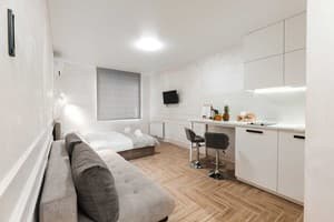 Квартира CityApartments Akademmistechko Kyiv. Апартаменты двухместный +2    44/2 3