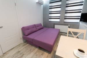 Квартира CityApartments Akademmistechko Kyiv. Делюкс двухместный +2   276/2 4