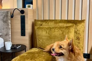 Manhattan High Line Apart 13